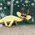 Linda Brown Mattson's profile image