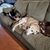 Cherish Yoo Calhoun-Blazevich's profile image