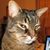 Will Demers's profile image