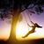 Terri Bennetto's profile image