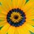 Peachtree Smac's profile image
