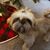 Heather Beaulieu Steele's profile image