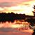 Jerry Celeste Livengood's profile image