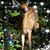 Mary Pieber's profile image