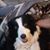 Kathy Hoffman Smith's profile image