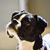 Heather Mahieu Cline's profile image