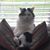 Gayle Wallen Kennedy's profile image
