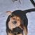 Louise Stastny's profile image
