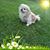Sherri Meade's profile image