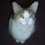 Gloria Carlton's profile image