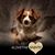 Laura Marshall LeBlanc's profile image