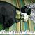 Denise Ison's profile image
