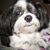 Carolyn Wainscott Young's profile image