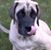 Dave Yanke's profile image