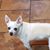 Kim Tietz's profile image