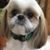 Lois Janisch's profile image