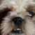 Darrin Janie Daniels's profile image