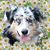 Pat Mathers's profile image
