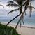 Robin Zaremba's profile image