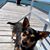 Michelle Platts's profile image
