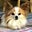 Rachel Bee's profile image