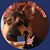 Pamela Hollo's profile image