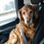 Macaille Mahoney Hafner's profile image