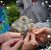Nancy Roseen's profile image