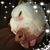 Justin Lawson's profile image