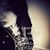 Priscilla Marrero's profile image