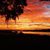Louanne Scala McCranie's profile image