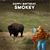 Kim Sloggett's profile image