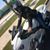 Alita Ann Patrick's profile image