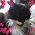 Kathy Botts's profile image