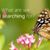 Lucinda Rodgerson's profile image