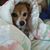 Pebbles Neville's profile image