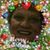 Donna Scott Johnson's profile image