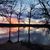 Jamie Meigs Dale's profile image