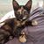 Cyndy Usanis's profile image