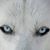 Rhonda Baryenbruch's profile image