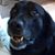 Ronald Ashburn's profile image
