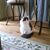 Judy Poche's profile image