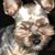 Lori Lane Reeves Newton's profile image