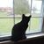 Marjorie See's profile image