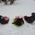 Crystal Fritz Pollard's profile image