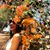 Mariana Cabrera Pacco's profile image
