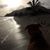 Stephanie Ciraola's profile image