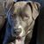Beth Krenning's profile image