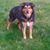 Elizabeth Mackend's profile image