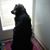 Meilin Quan's profile image